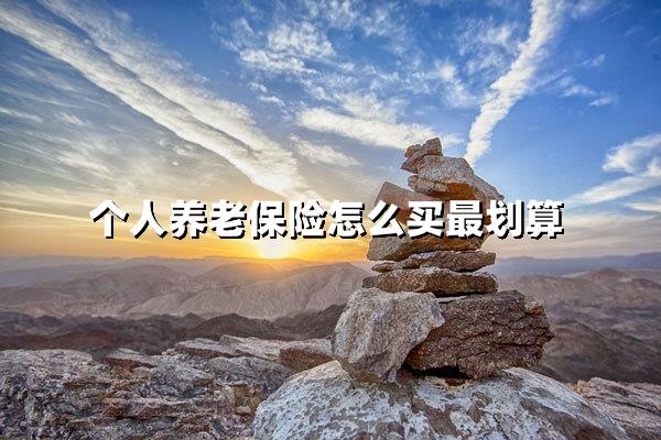个人养老保险怎么买最划算（最全投保攻略与避坑指南）