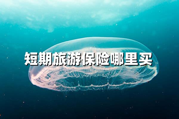 短期旅游保险哪里买(短期旅游保险哪里买？3大正规渠道及投保技巧全解析)