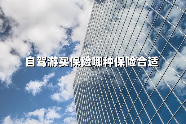 自驾游买保险哪种保险合适（全方位解析不同场景下的投保策略）