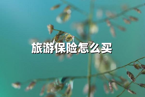 旅游保险怎么买最省心（手把手教你选对旅游保险方案）