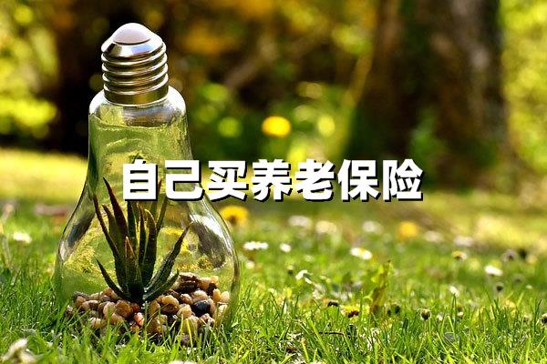自己买养老保险全攻略：一文掌握自费参保的流程与窍门(自己买养老保险)