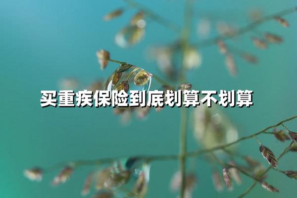 买重疾保险到底划算不划算（重疾险投入与回报的深层博弈）