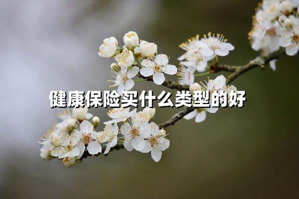 健康保险买什么类型的好（2025年健康险选购终极指南）
