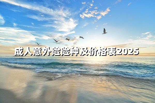 2025年成人意外险价格表出炉！投保必读指南