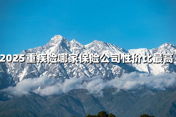 2025年重疾险性价比王座花落谁家？