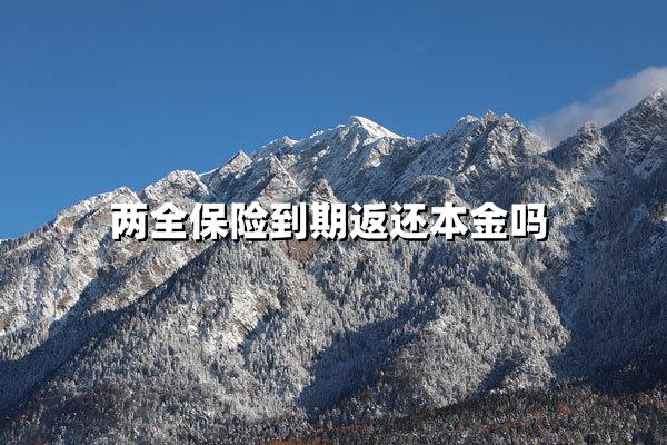 两全险到期真能100%拿回本金？最新解读