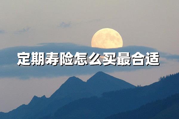 定期寿险这样买才最划算