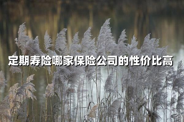 2025年定期寿险性价比王者是谁？