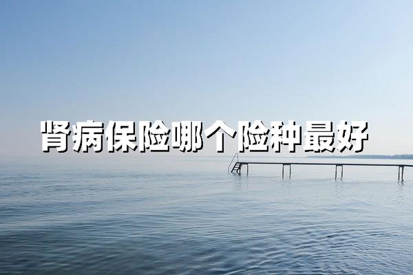 肾病保险最全攻略：哪类险种真正雪中送炭？