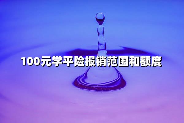 100元学平险：报销范围与额度超值解析