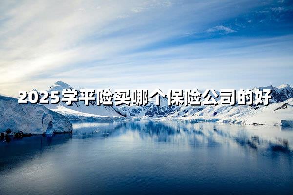 2025学平险哪个保险公司的好？五大选择维度深度解析