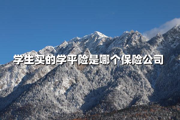 学生学平险哪家强？家长必看的三大安心考量