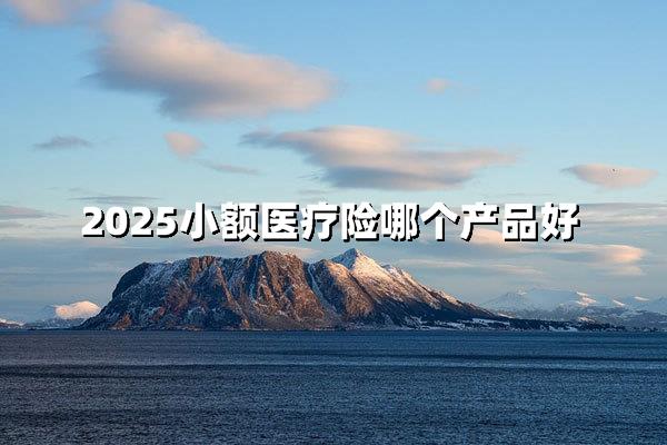 2025小额医疗险最佳产品推荐揭秘