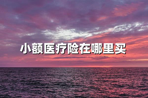 实用指南：小额医疗险购买全渠道解析