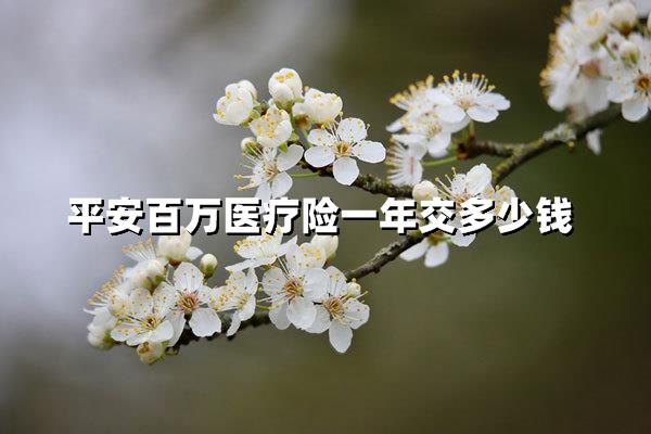 揭秘！平安百万医疗险一年缴费大公开