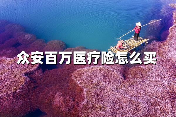 众安百万医疗险这样买最划算！2024年最新防坑攻略