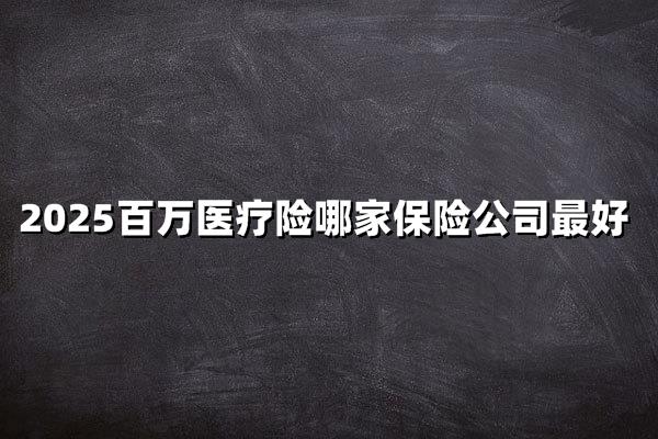 2025年百万医疗险怎么选？四家主流公司横向测评