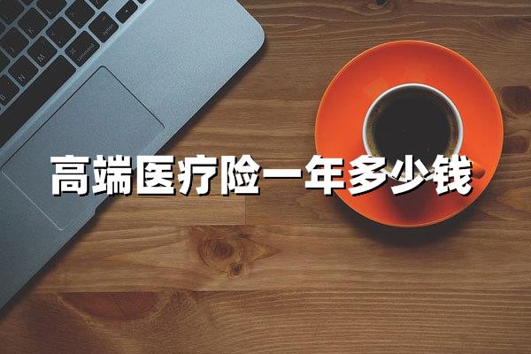 高端医疗险一年多少钱？最新费用全面揭秘