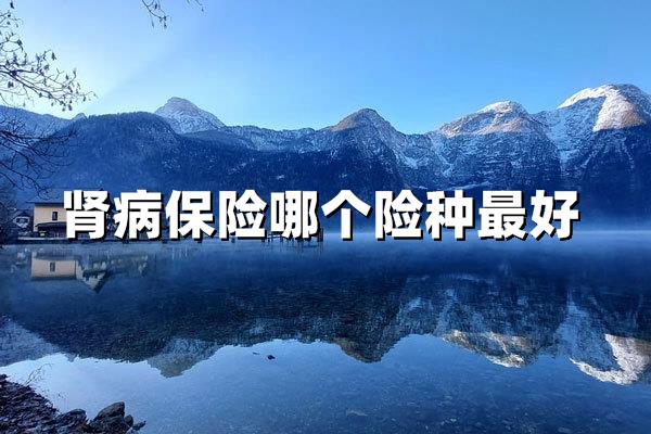 肾病患者如何买到救命保障？四大险种深度解析