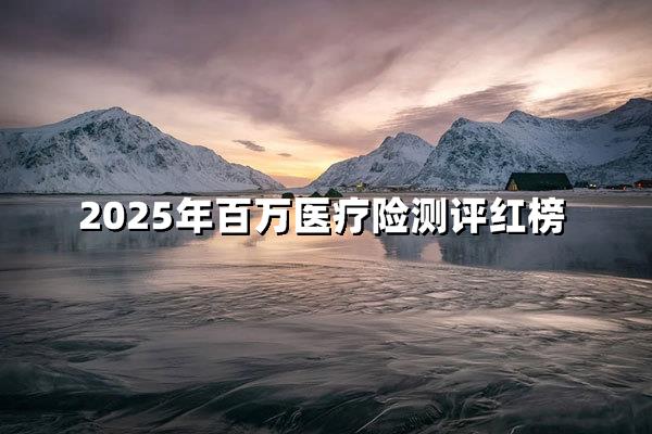2025健康守护风向标：百万医疗险红榜全维测评
