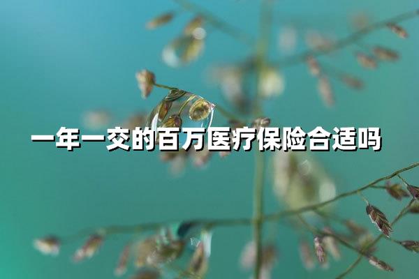 一年一交的百万医疗险，到底适合哪些人购买？