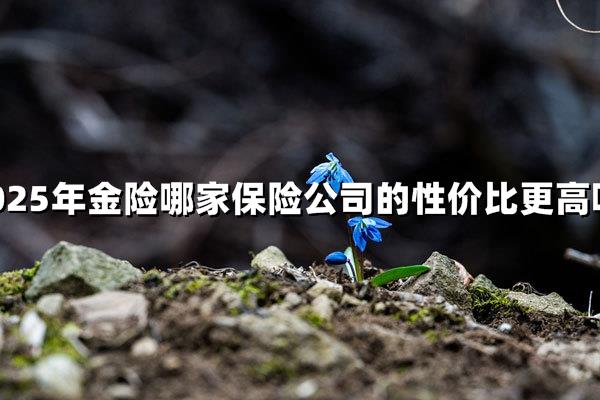 2025年养老年金险挑花眼？这篇血泪总结帮你避坑