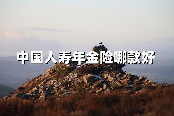 中国人寿年金险哪款好，2025最值得入手的3款中国人寿年金险
