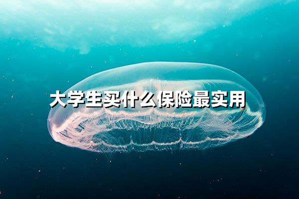 大学生必备保障方案！这三类保险500元全搞定