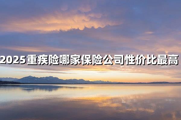 2025年重疾险哪家<a style='border-bottom:1px dashed;color:#337FE5;' href='//www.vobao.com/tags/1106760687585690430.shtml' target='_blank'><strong>保险</strong></a>公司性价比高？