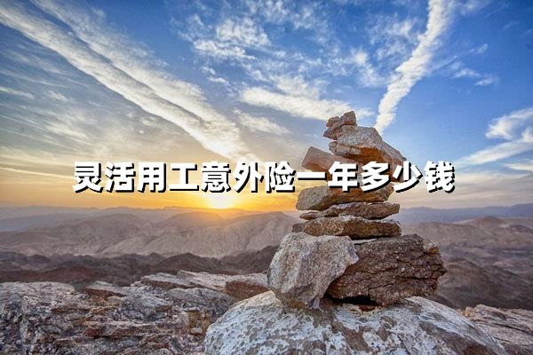 灵活用工意外险一年多少钱？自由职业者必看的最新价格解析