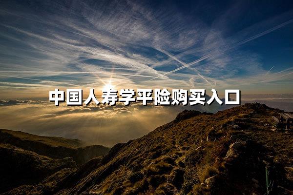 中国人寿学平险购买入口，中国人寿学平险一键购买入口详解