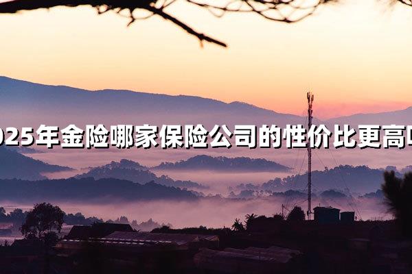 2025年金险性价比王者是谁？（横向评测报告）
