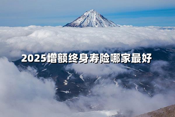 2025增额终身寿险测评：谁家现金价值稳健领跑？