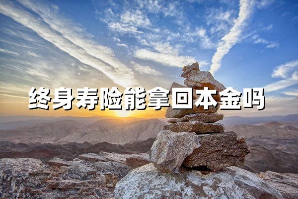 终身寿险最后能拿回本金吗？结果可能和你想的不一样
