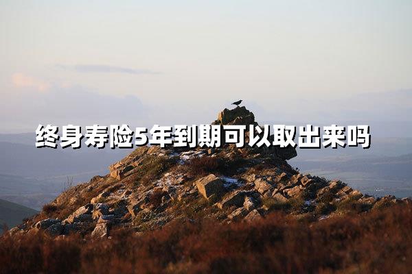 终身寿险5年到期能取出钱吗？专家解答