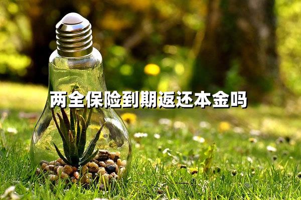 两全保险到期返还本金吗？你的两全保险到期真能拿回本金吗