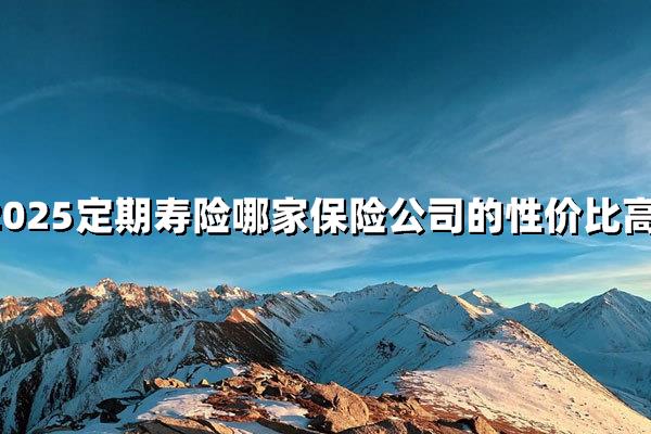 定期寿险哪家保险公司的性价比高？2025高性价比TOP5大盘点！