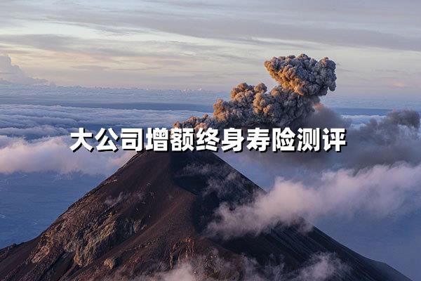 2025年增额终身寿险终极评测：大公司谁最值得选？