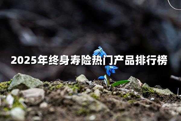 2025终身寿险排行榜，2025终身寿险热门产品权威榜揭晓
