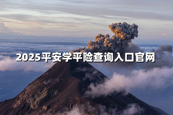 2025平安学平险查询入口官网权威发布！参保理赔一网通
