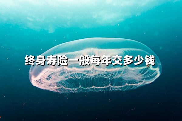 终身寿险一年要交多少钱？3大因素决定你的保费！