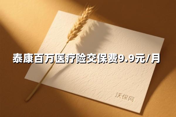 9.9元撬动百万保障？泰康医疗险重塑健康防护新标准