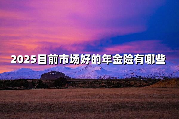 2025最火年金险大盘点！这三款让养老更有底气