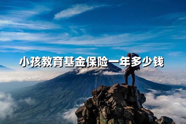 教育金保险一年要多少钱？2025省钱方案+真实案例参考