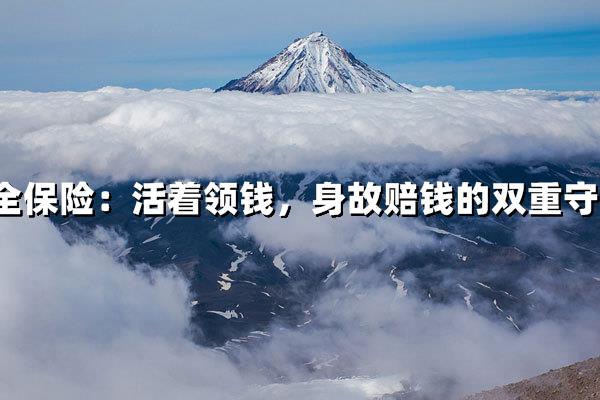 双重守护：活着领钱身故赔钱，双重守护两全保险终极解析
