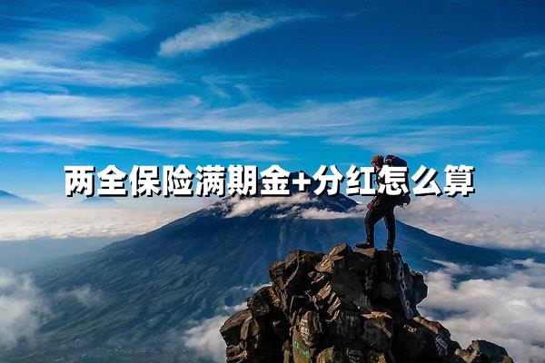 两全保险满期金和红利计算的实用指南，一文讲清楚