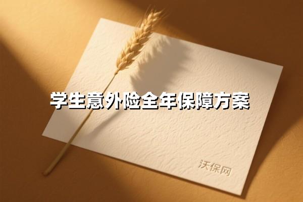 守护青春：学生意外险全年无忧保障计划