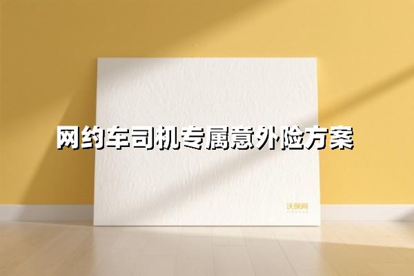 网约车司机专属意外险：24小时安心接单方案