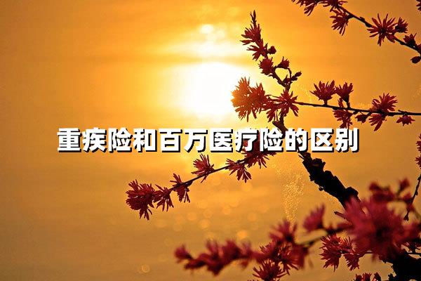 救命钱怎么选？重疾险vs百万医疗险终极指南