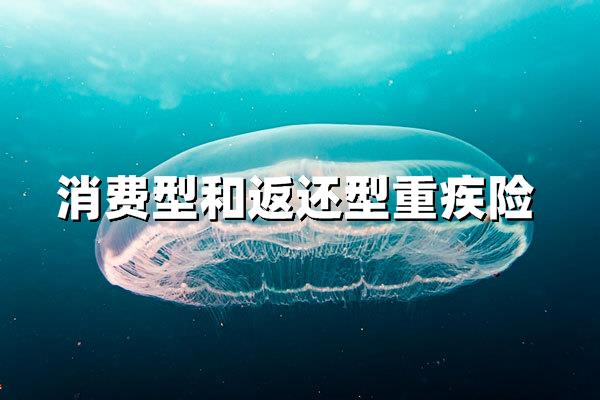 聪明人这样选重疾险：消费型or返还型？